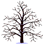 arbre et magntiseur